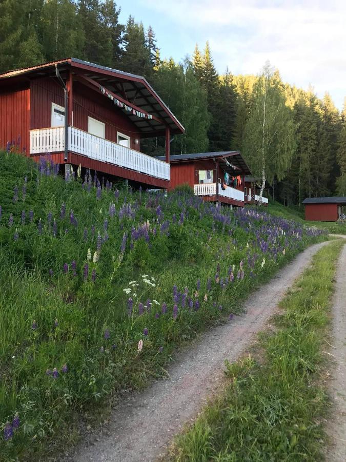 Utsiktens Turistgard Järkvitsle Exterior photo